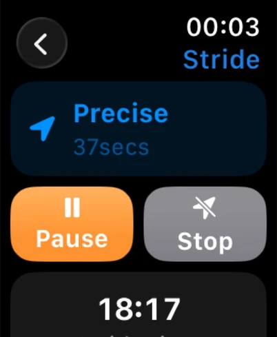 StrideSafe Apple Watch showing Precise sharing and visible Pause and Stop controls.